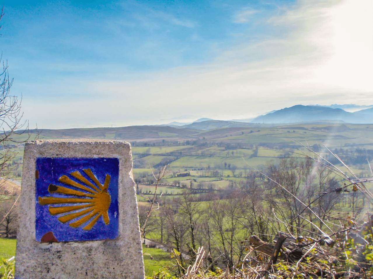 Camino de Santiago View