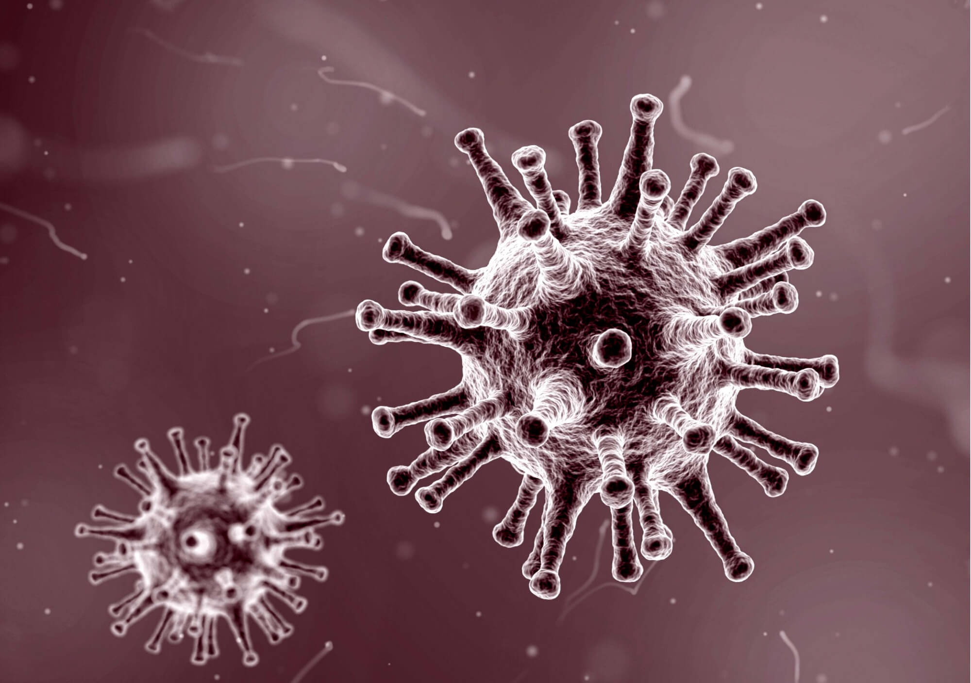 Coronavirus